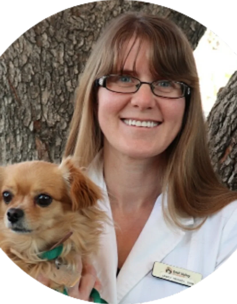 Dr. Janet Troxel at East Valley Pet Hospital